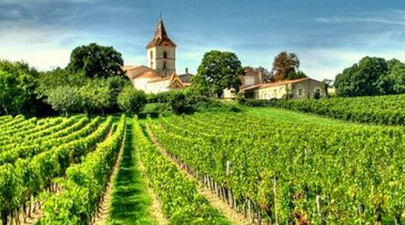 Three Things to Do in a French Wine Tour
