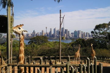 Sydney: The Best Attractions to Experience in the Harbour City